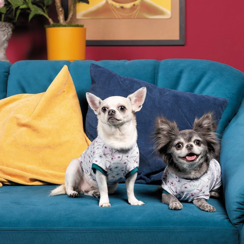 Pet Fashion Flora футболка для собак XXS