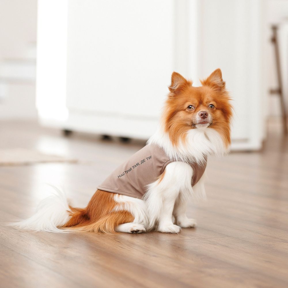Pet Fashion Kale борцівка для собак XS - коричнева Pet Fashion Kale борцівка для собак XS - коричнева