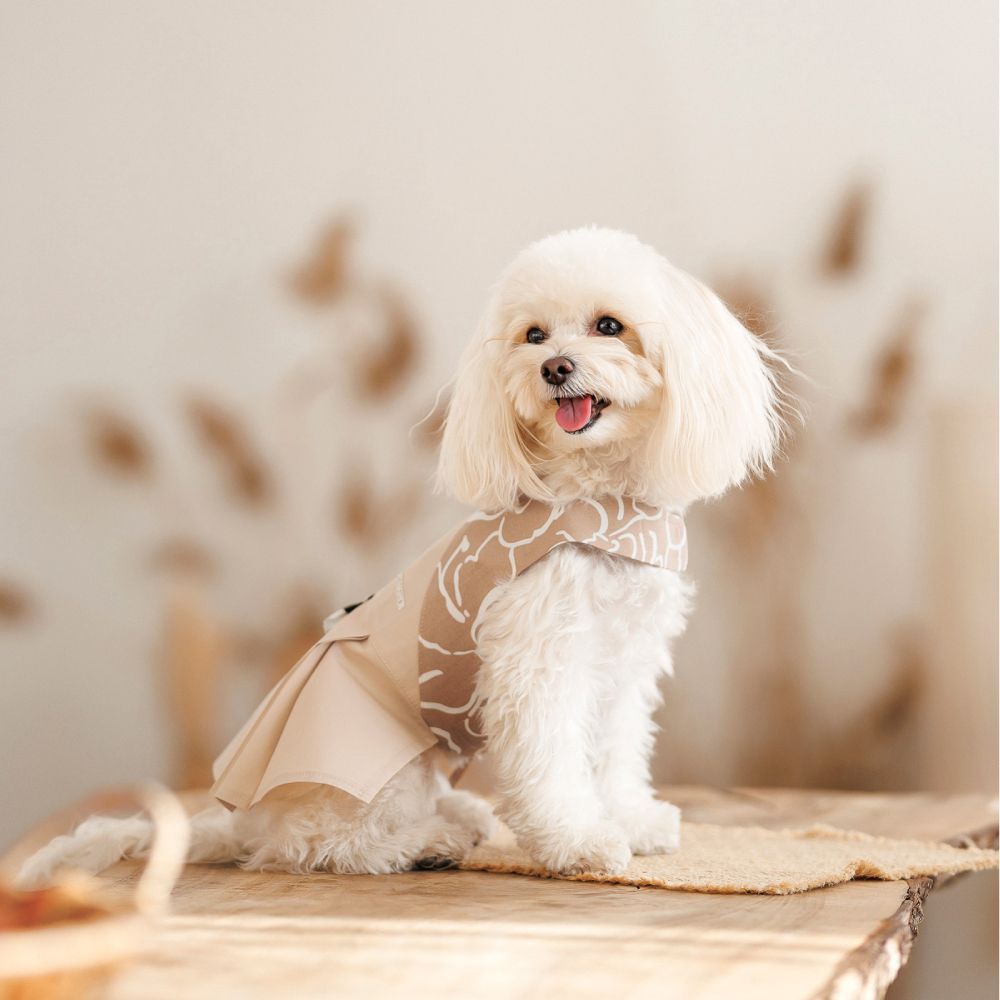Pet Fashion Lily сарафан для собак XS Pet Fashion Lily сарафан для собак XS