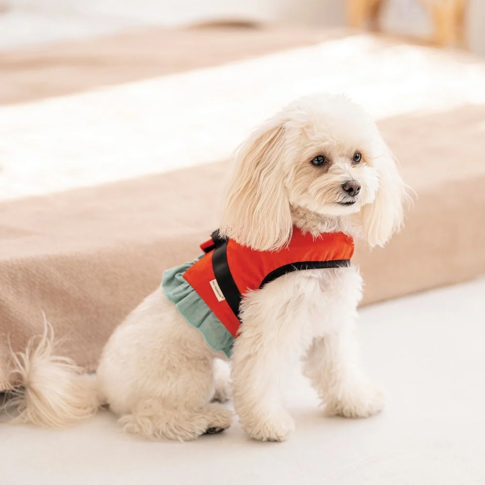 Pet Fashion Monika шлея для собак XXS