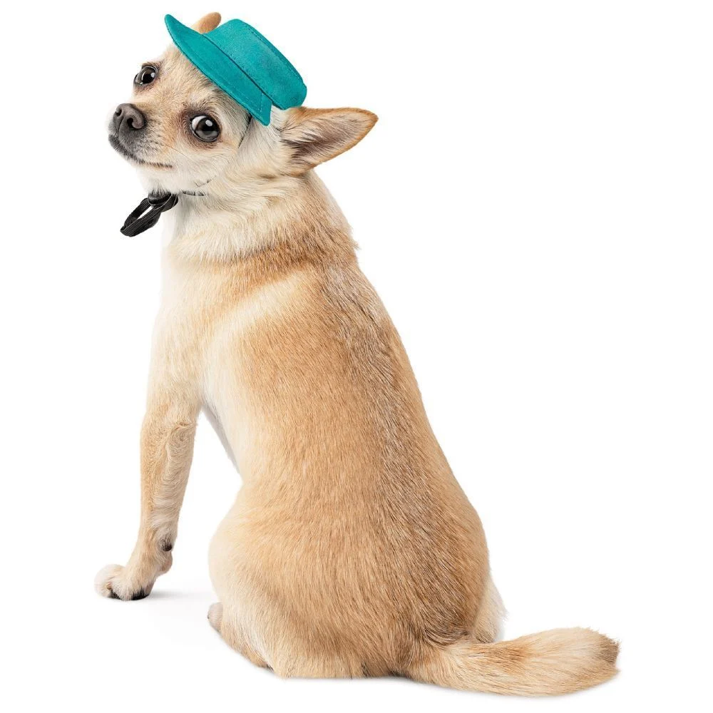 Pet Fashion Rob панама для собак XS Pet Fashion Rob панама для собак XS