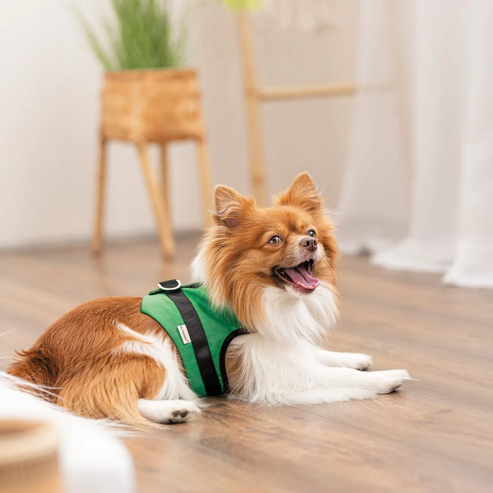 Pet Fashion Ross шлея для собак XXS Pet Fashion Ross шлея для собак XXS