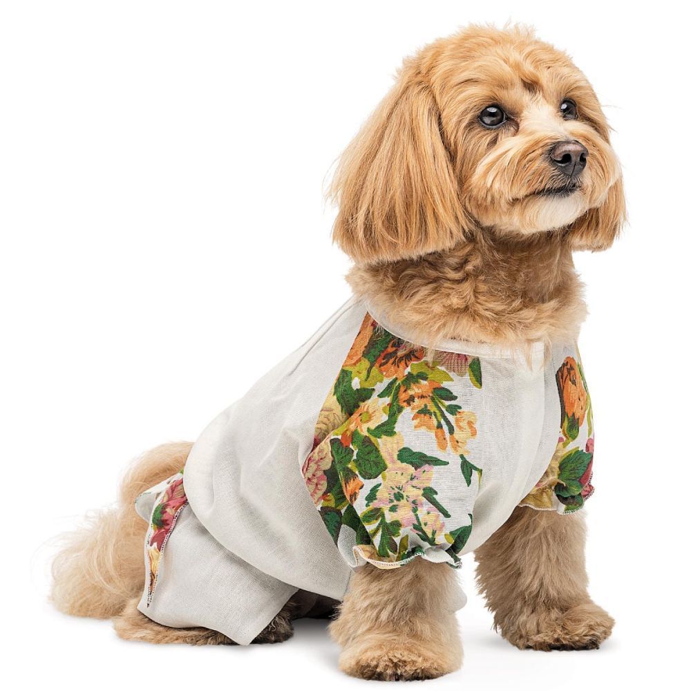 Pet Fashion Соломія сорочка для собак XS Pet Fashion Соломія сорочка для собак XS