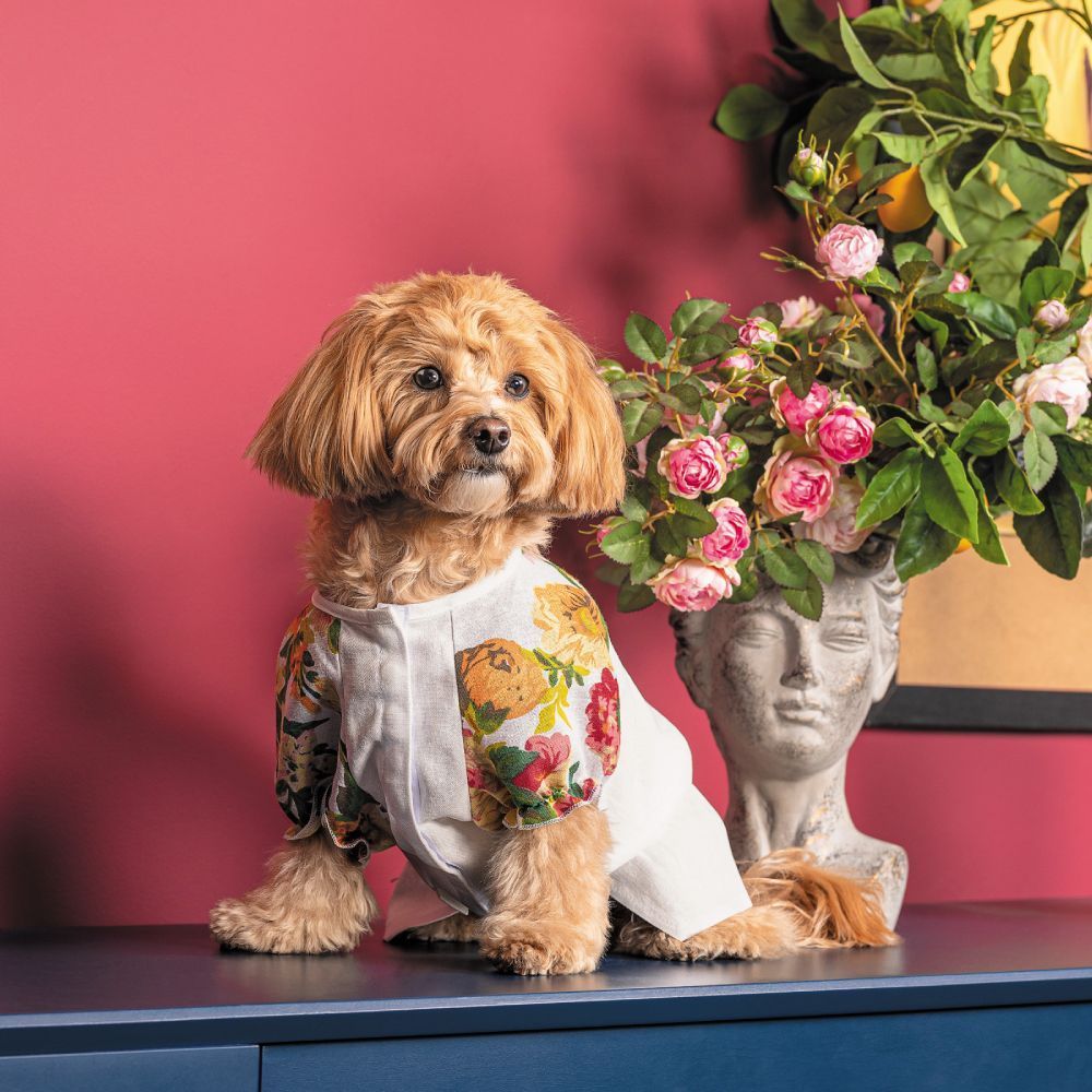 Pet Fashion Соломія сорочка для собак XS Pet Fashion Соломія сорочка для собак XS