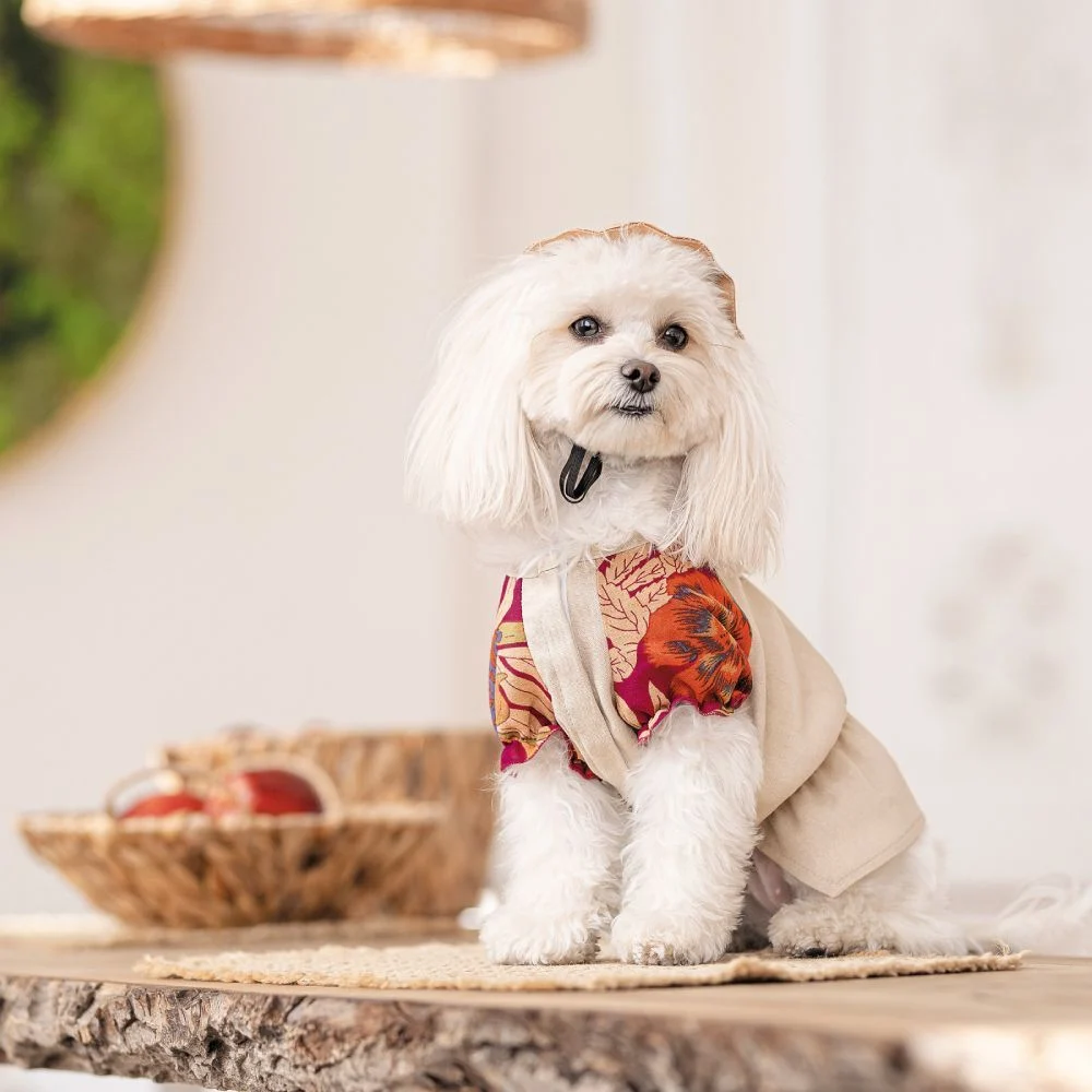 Pet Fashion Соломія сорочка для собак XS Pet Fashion Соломія сорочка для собак XS