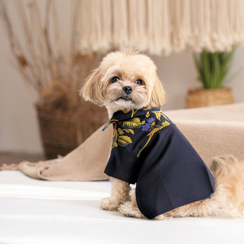 Pet Fashion Тарас сорочка для собак XS Pet Fashion Тарас сорочка для собак XS
