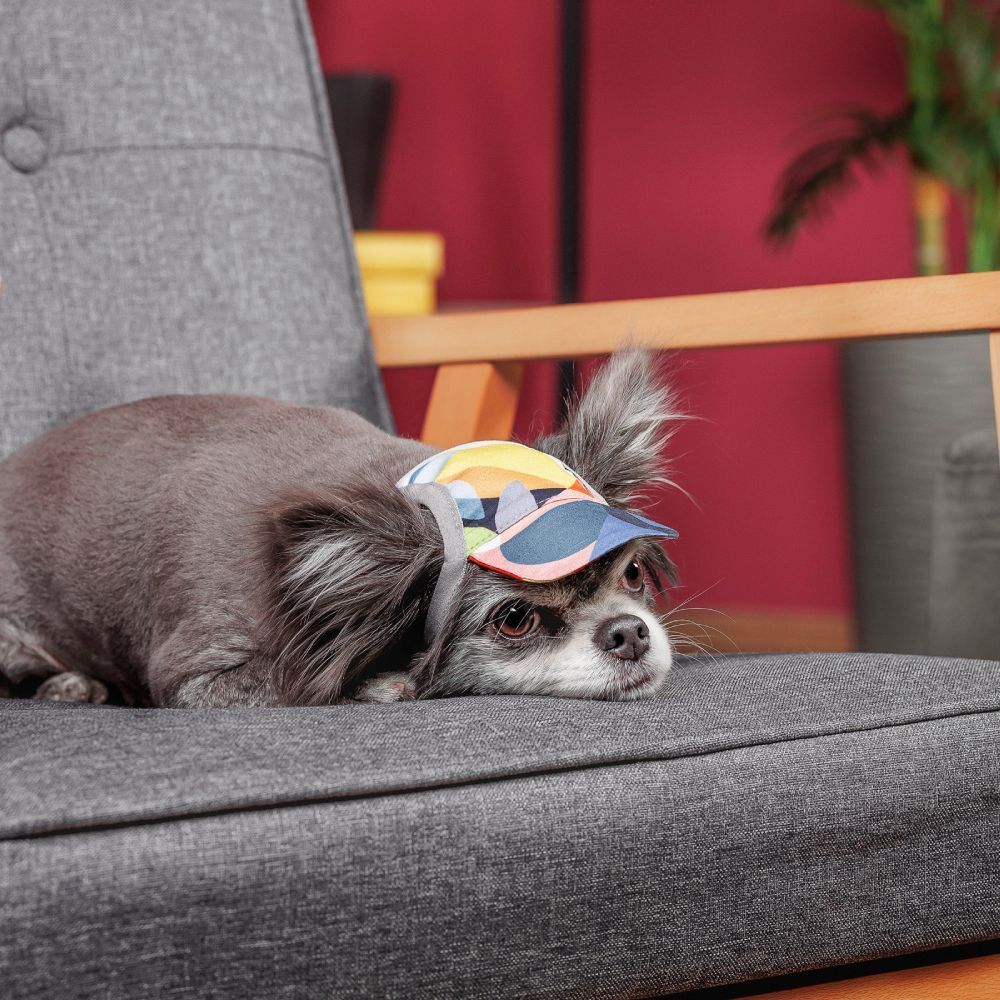 Pet Fashion Tony кепка для собак XS Pet Fashion Tony кепка для собак XS