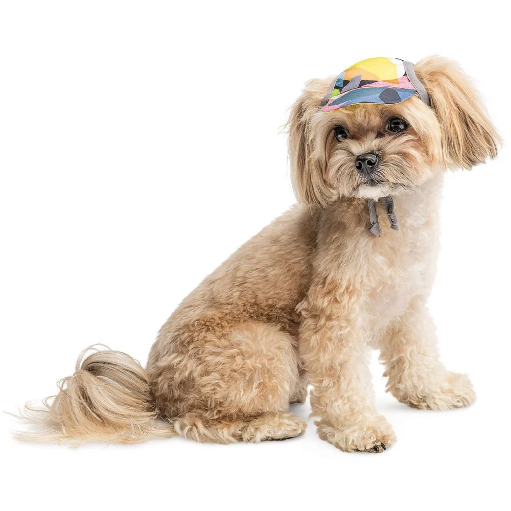 Pet Fashion Tony кепка для собак XS Pet Fashion Tony кепка для собак XS