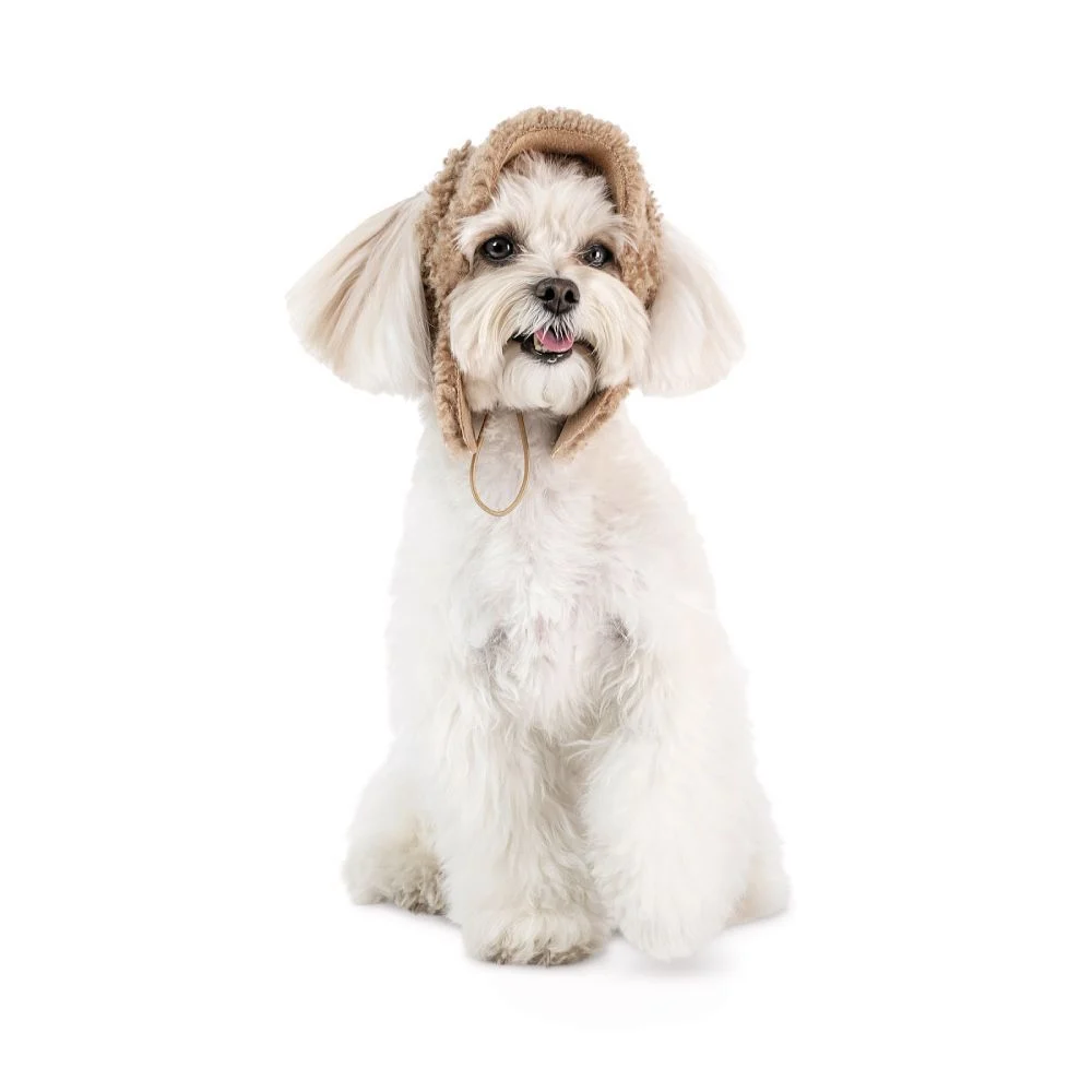 Pet Fashion Valley шапка для собак XS Pet Fashion Valley шапка для собак XS