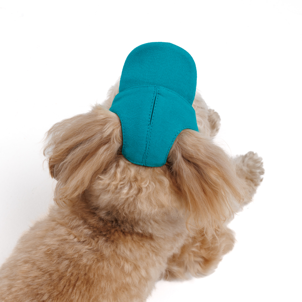 Кепка для собак Pet Fashion Topaz XS - бірюзовий