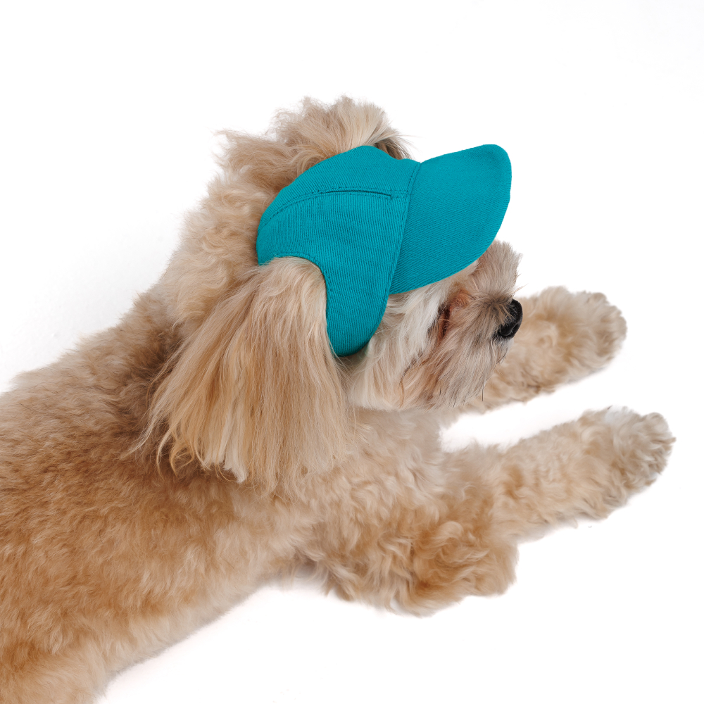 Кепка для собак Pet Fashion Topaz XS - бірюзовий