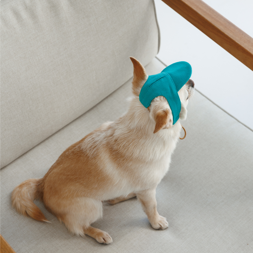 Кепка для собак Pet Fashion Topaz XS - бірюзовий