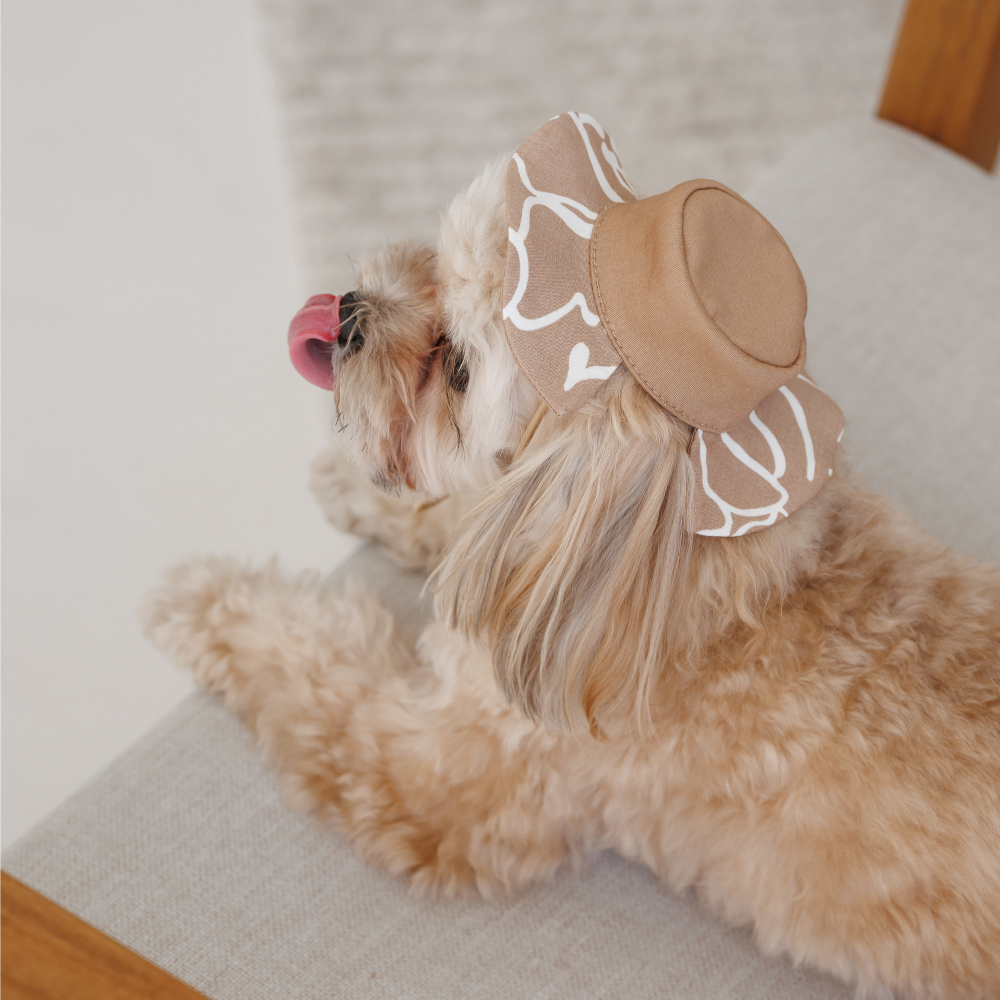 Панама Pet Fashion Print XS - бежевий Панама Pet Fashion Print XS - бежевий