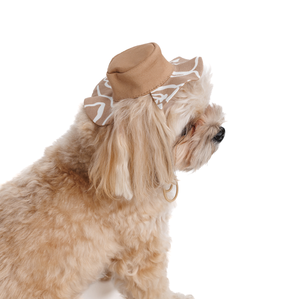 Панама Pet Fashion Print XS - бежевий Панама Pet Fashion Print XS - бежевий