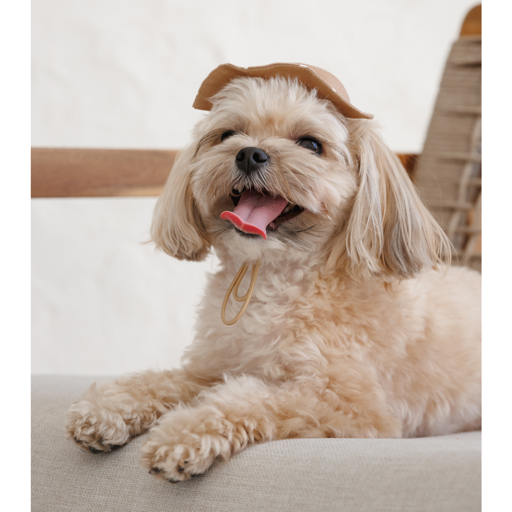 Панама Pet Fashion Print XS - бежевий Панама Pet Fashion Print XS - бежевий