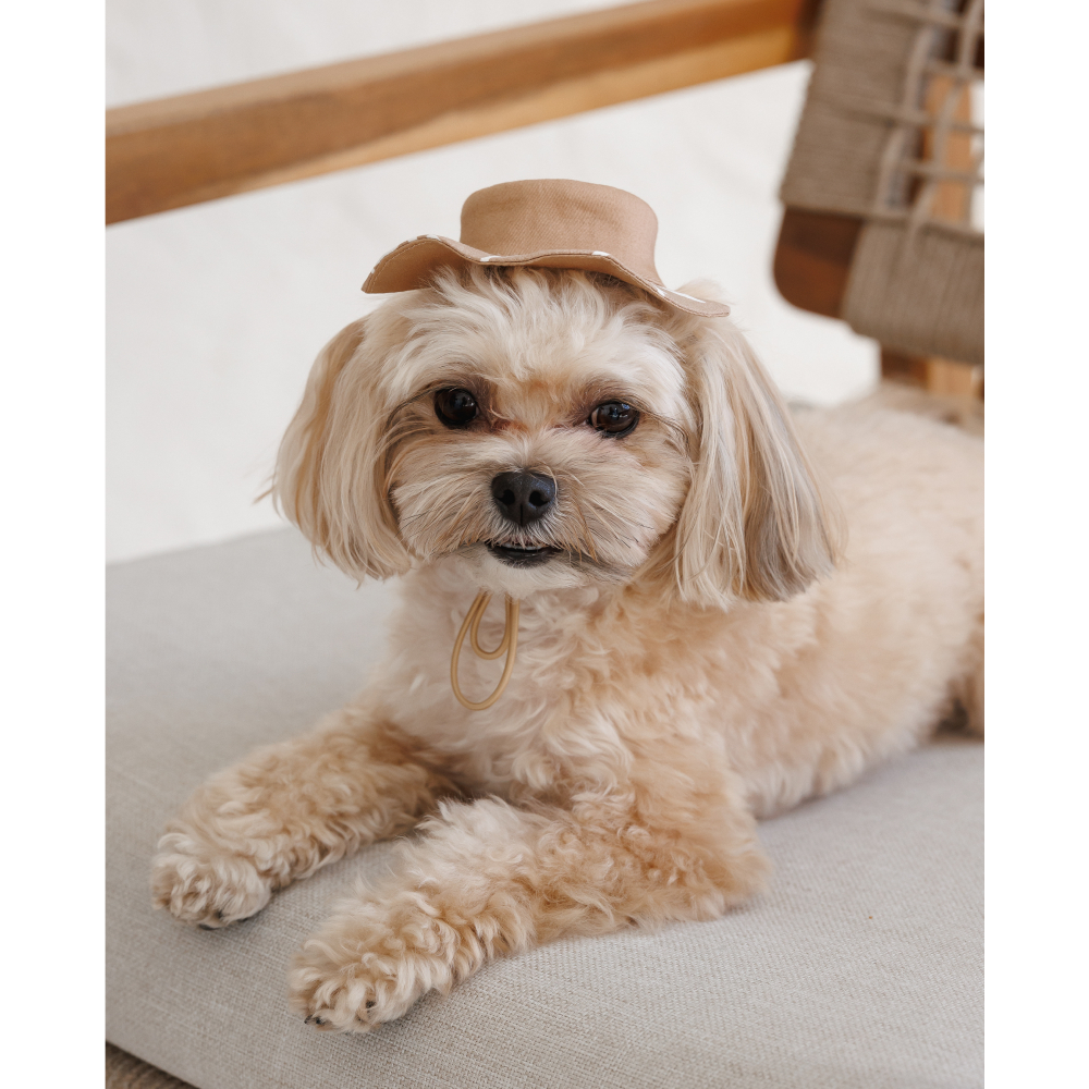 Панама Pet Fashion Print XS - бежевий Панама Pet Fashion Print XS - бежевий