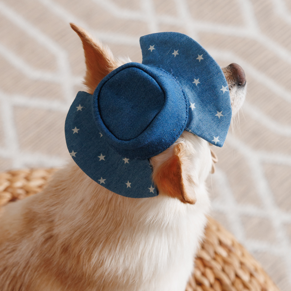 Панама Pet Fashion Stars XS - синий