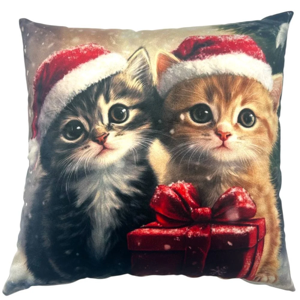 Pet Fun декоративна подушка для котів та власників 45х45 см - різнокольоровий Pet Fun декоративна подушка для котів та власників 45х45 см - різнокольоровий