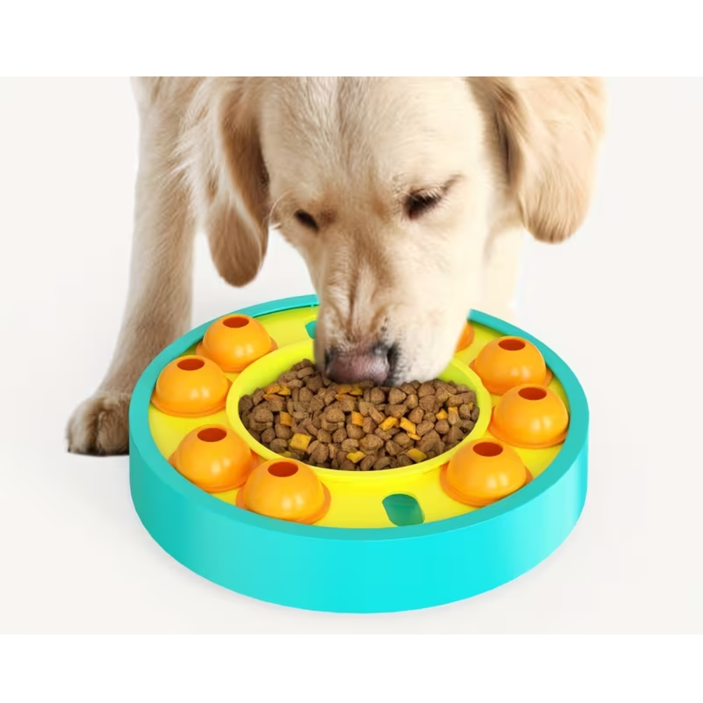 Pet Fun Годівниця іграшка для собак 250х250х60 мм - різнокольоровий