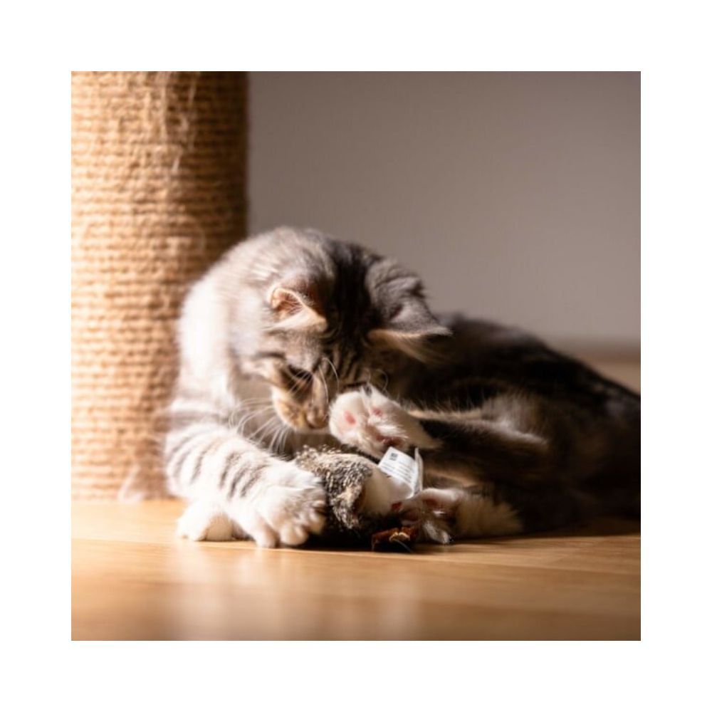Pet Fun іграшка для котів пташка 9х13 см - коричневий Pet Fun іграшка для котів пташка 9х13 см - коричневий