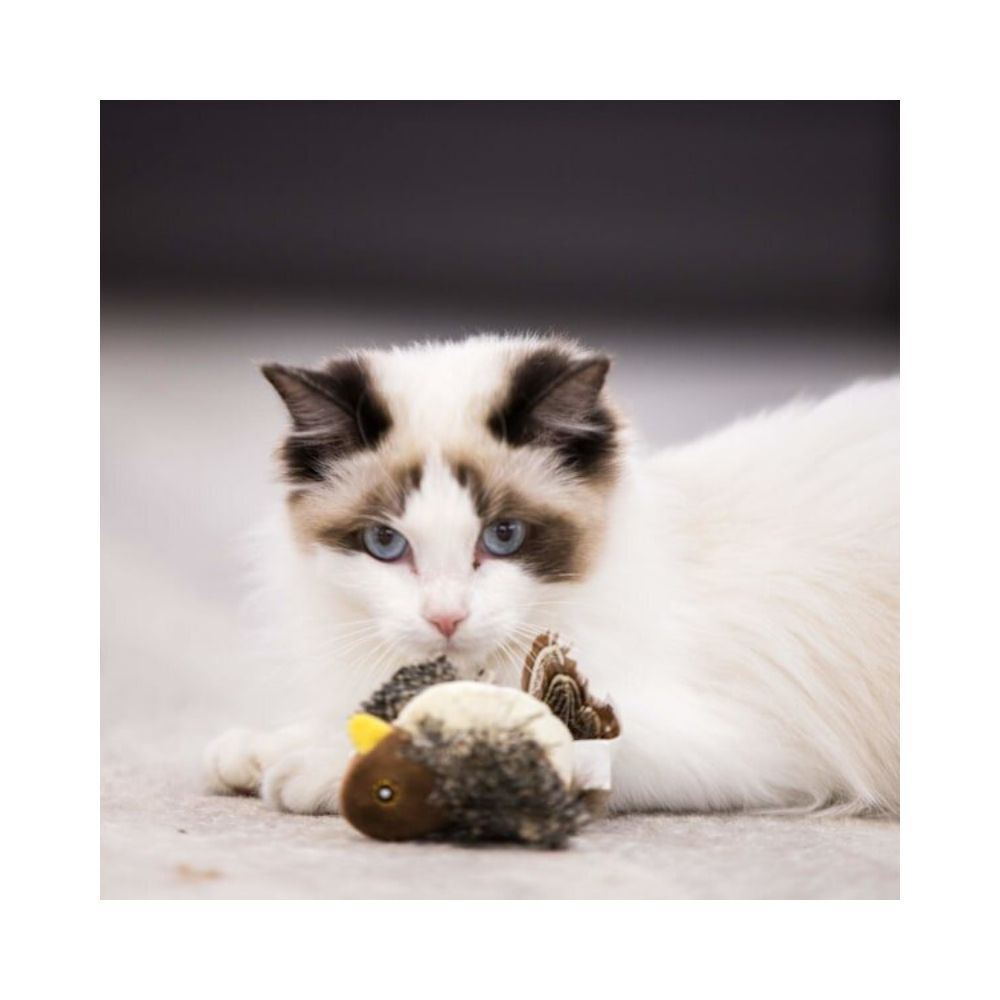 Pet Fun іграшка для котів пташка 9х13 см - коричневий Pet Fun іграшка для котів пташка 9х13 см - коричневий