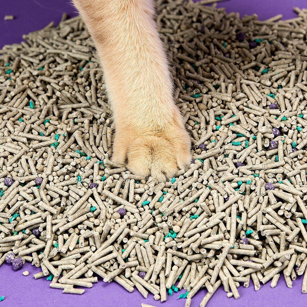 Petkit Flushable Clumping Cat Litters соєвий наповнювач 3,6 кг - дезодорант Petkit Flushable Clumping Cat Litters соєвий наповнювач 3,6 кг - дезодорант