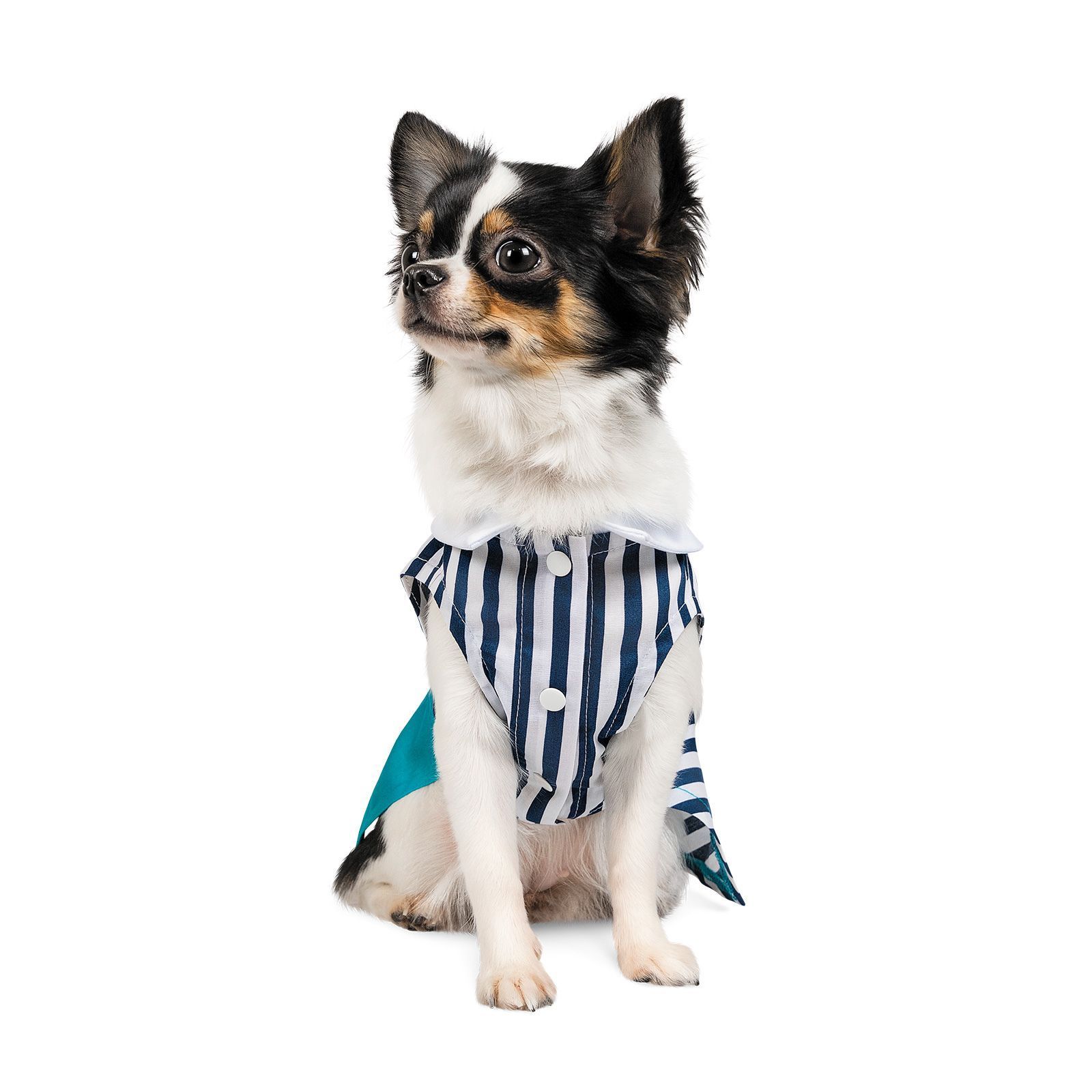 Pet Fashion Band платье для собак XS Pet Fashion Band платье для собак XS