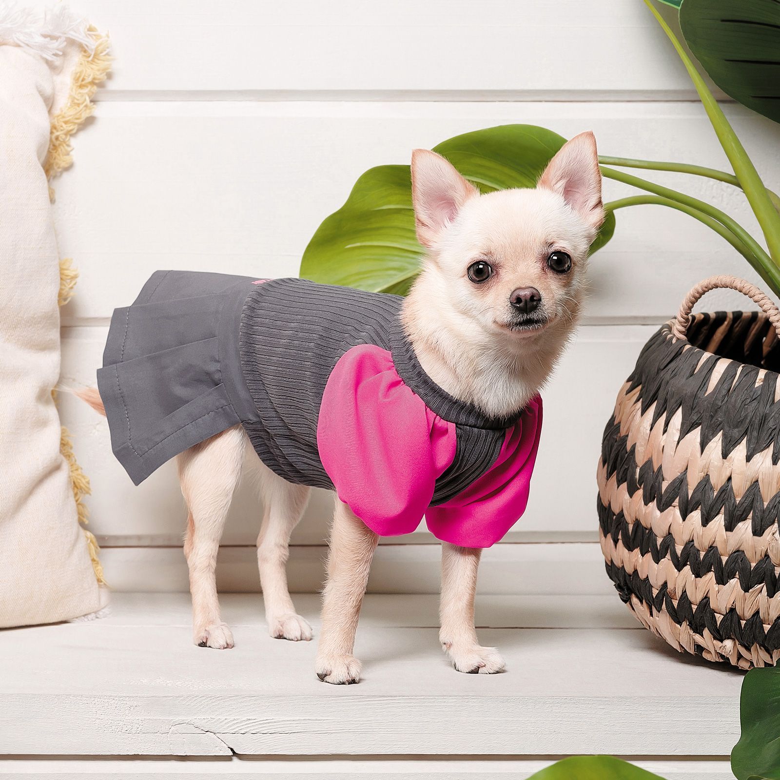 Pet Fashion Classic платье для собак S Pet Fashion Classic платье для собак S