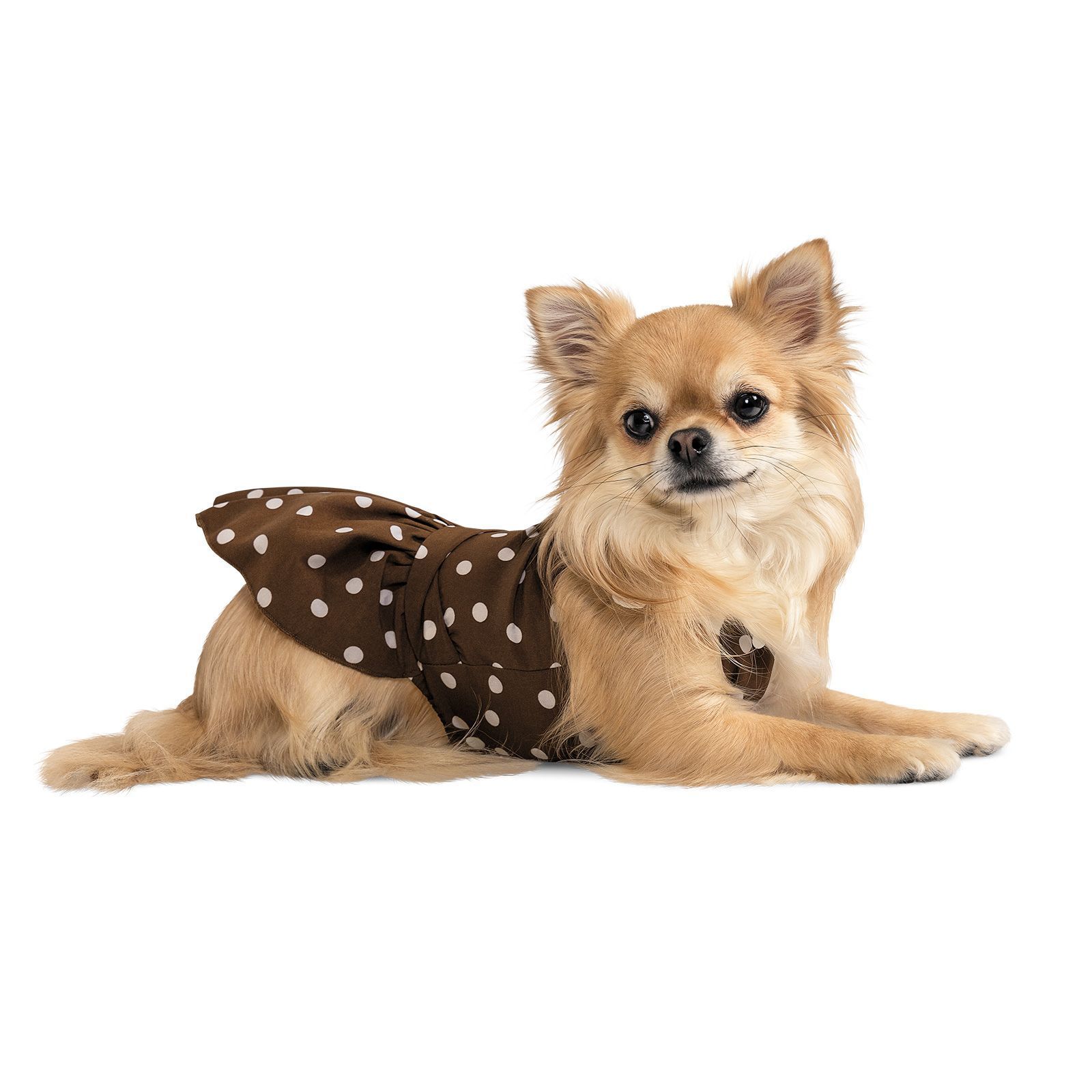 Pet Fashion Flirt платье для собак S Pet Fashion Flirt платье для собак S