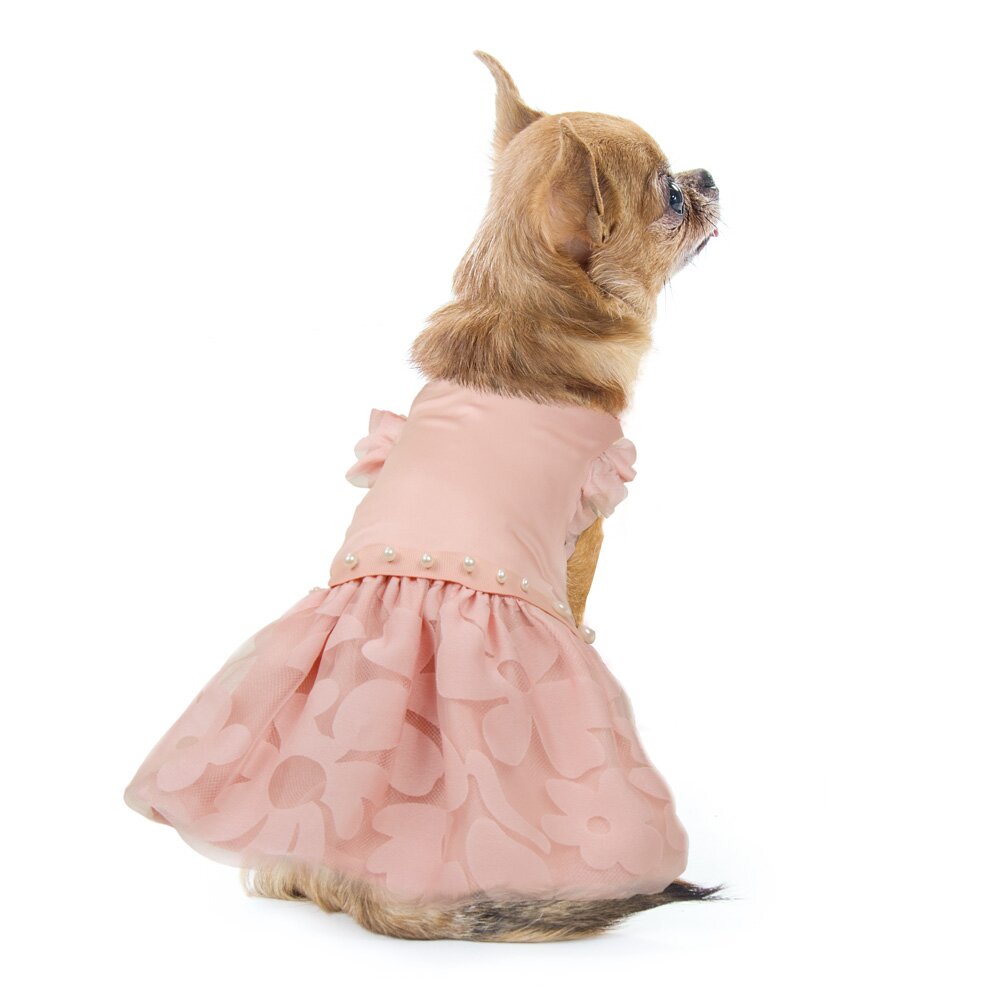 Платье для собак Pet Fashion «Азалия» XS Платье для собак Pet Fashion «Азалия» XS