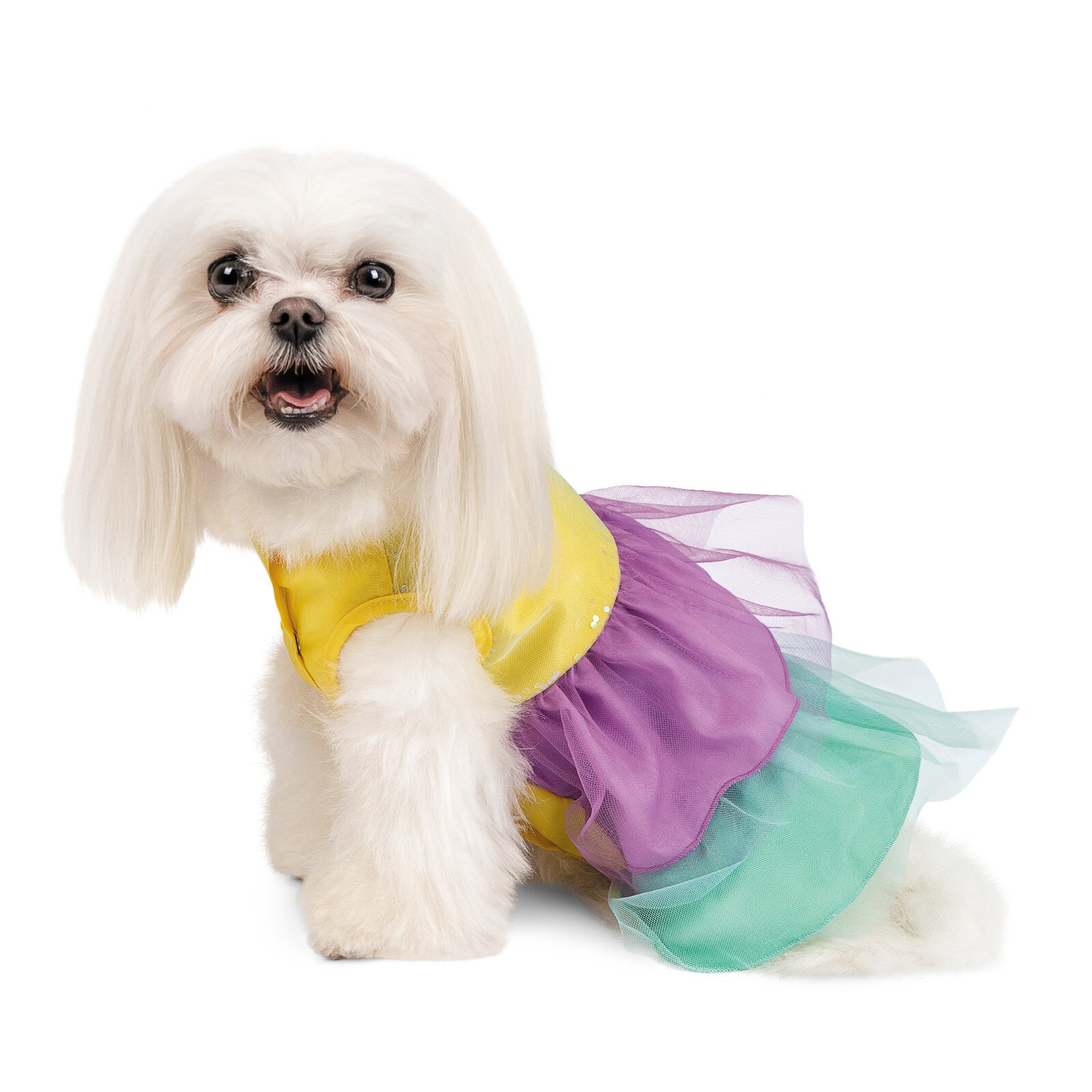 Платье для собак Pet Fashion «Лира» XXS