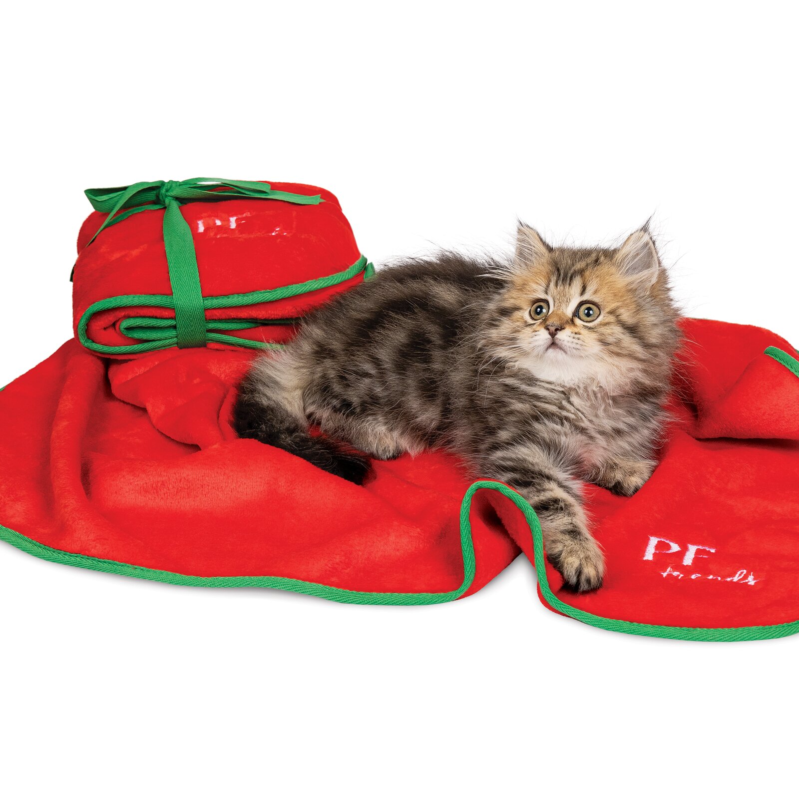 Плед Pet Fashion «Christmas Bliss» 77 см / 60 см (красный) Плед Pet Fashion «Christmas Bliss» 77 см / 60 см (красный)