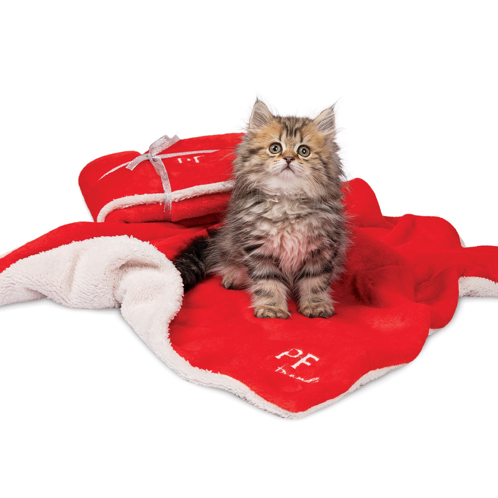 Плед Pet Fashion «New Year Gift» 75 см / 60 см (красный) Плед Pet Fashion «New Year Gift» 75 см / 60 см (красный)