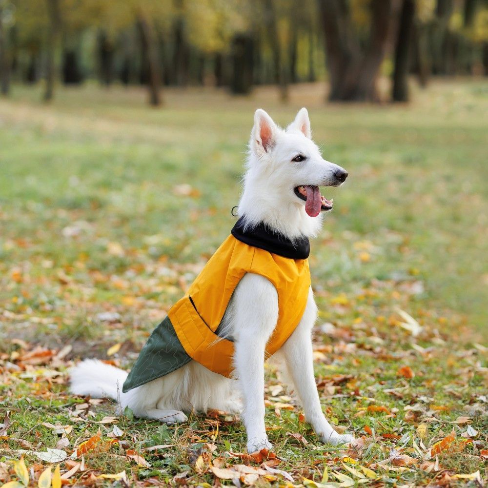 Попона для собак Pet Fashion «Roy» 2XL