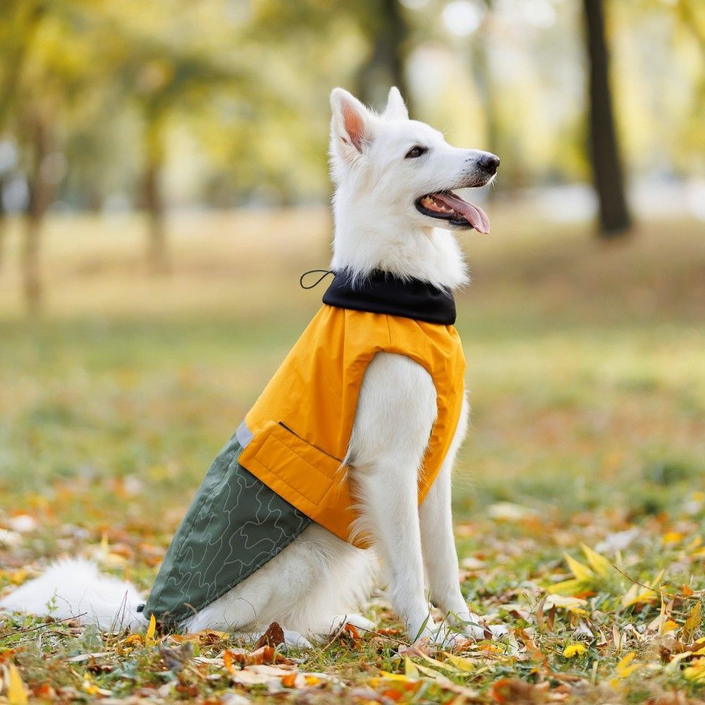 Попона для собак Pet Fashion «Roy» 2XL