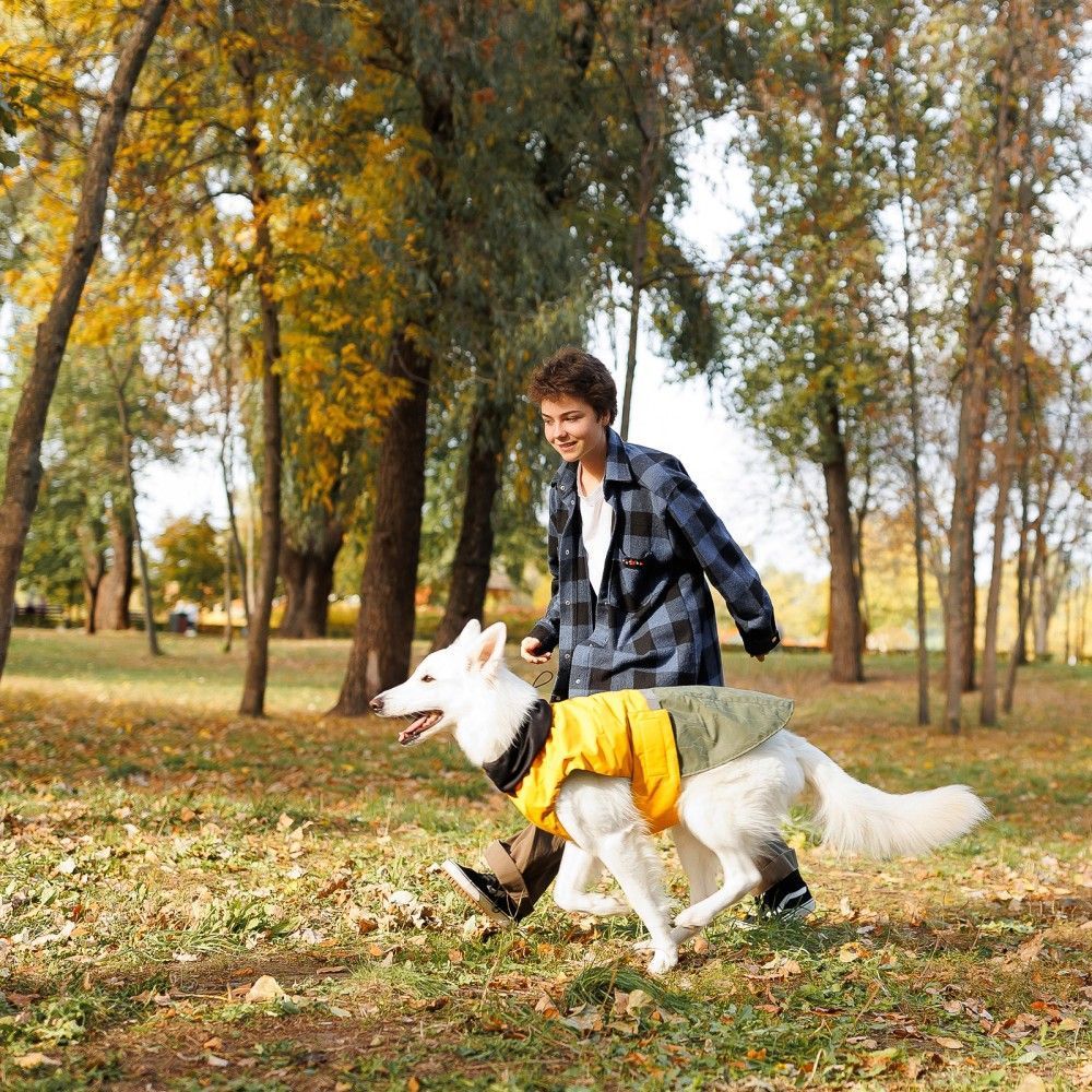 Попона для собак Pet Fashion «Roy» 2XL