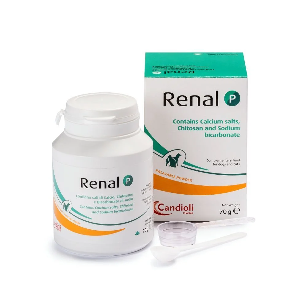 Порошок для собак Candioli Renal P 70 г Порошок для собак Candioli Renal P 70 г