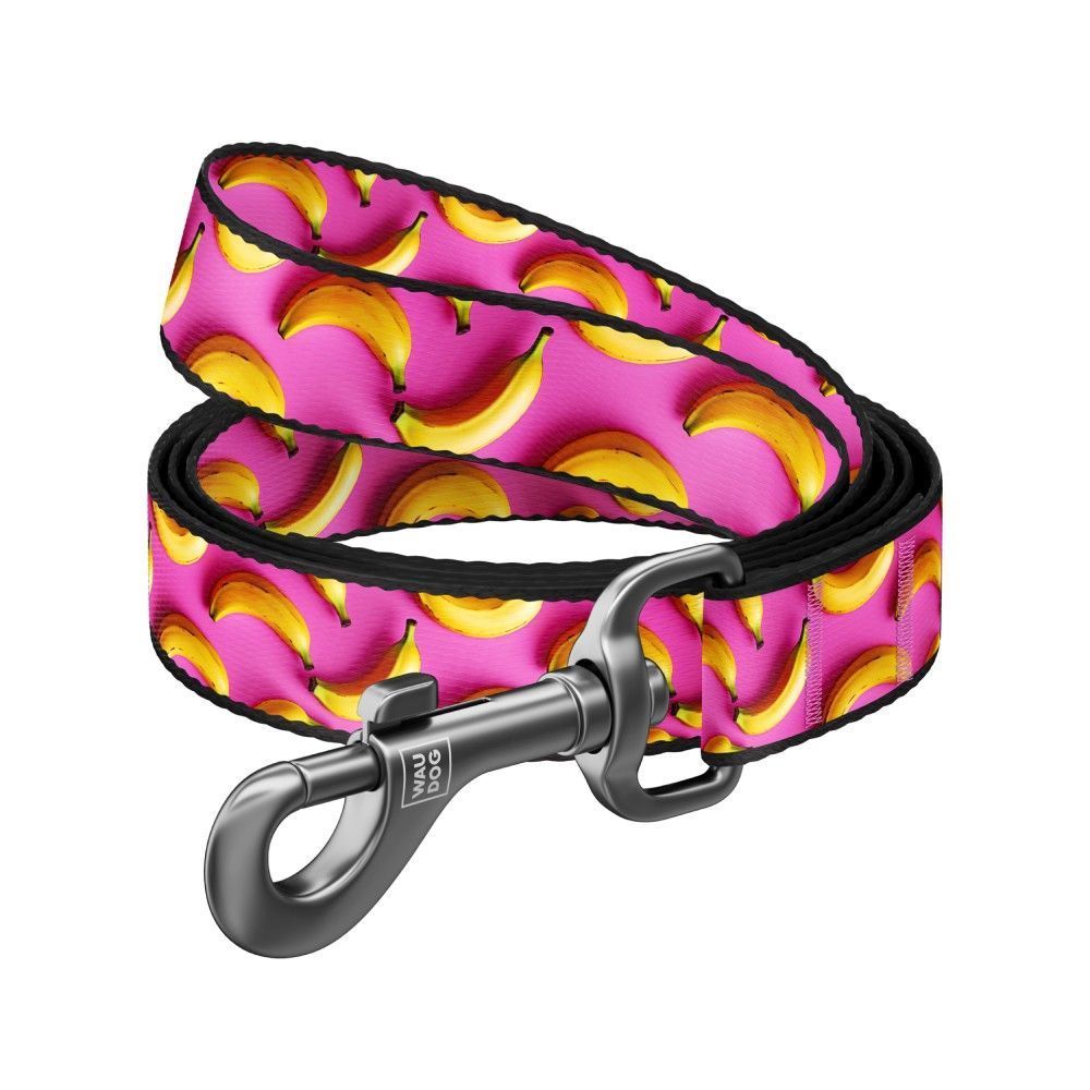 Повідець для собак Collar WAUDOG Nylon S