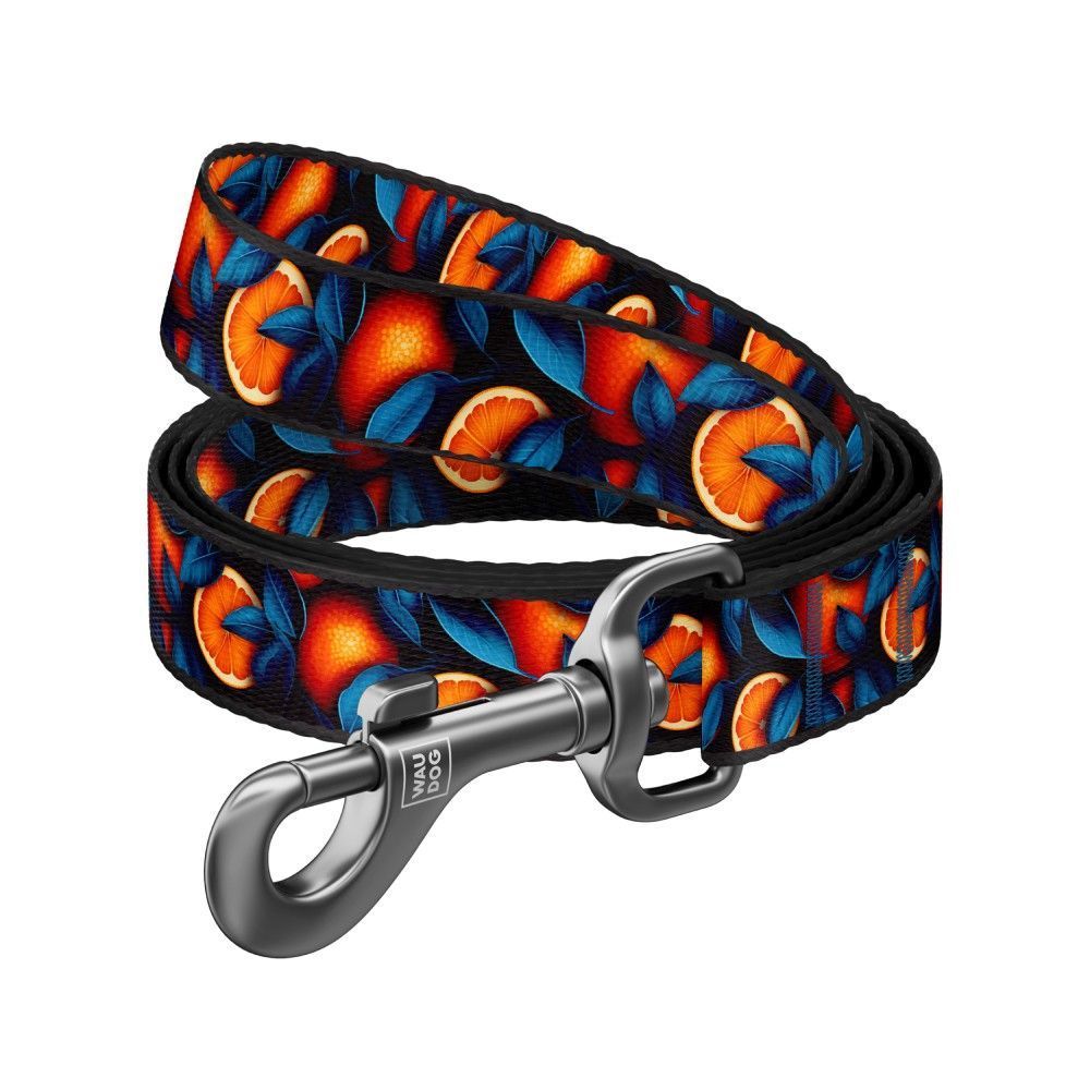 Повідець для собак Collar WAUDOG Nylon M