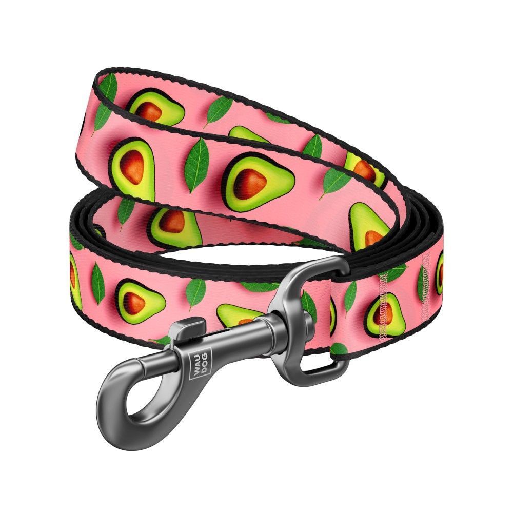 Повідець для собак Collar WAUDOG Nylon M