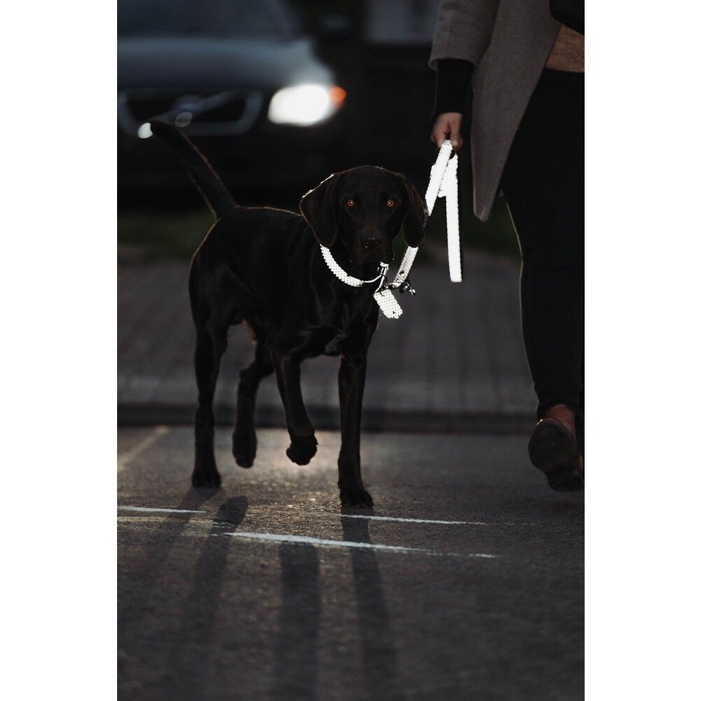 Hunter T-Leash Hella Reflec шкіряний повідець для собак 2 м х 1,5 см - чорний Hunter T-Leash Hella Reflec шкіряний повідець для собак 2 м х 1,5 см - чорний