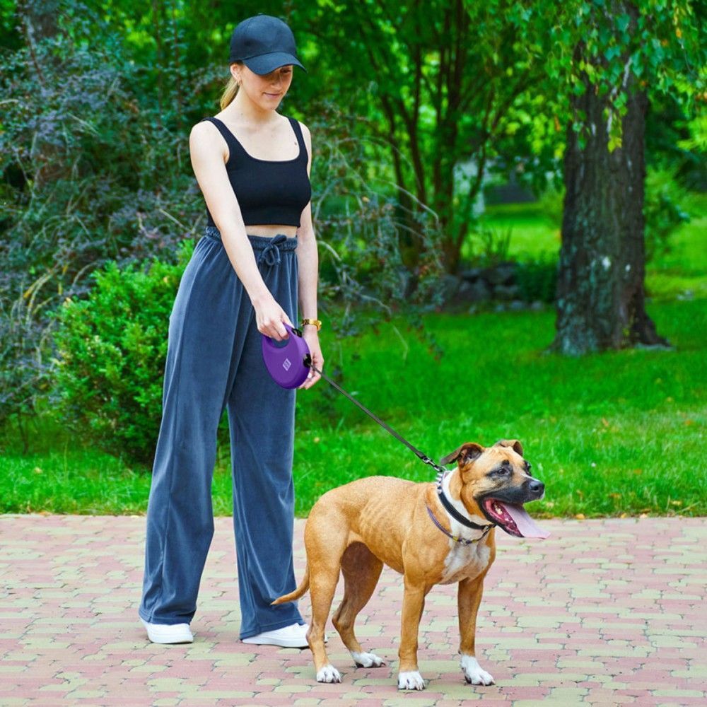 Waudog R-leash поводок-рулетка для собак L лента 5 м - фиолетовый