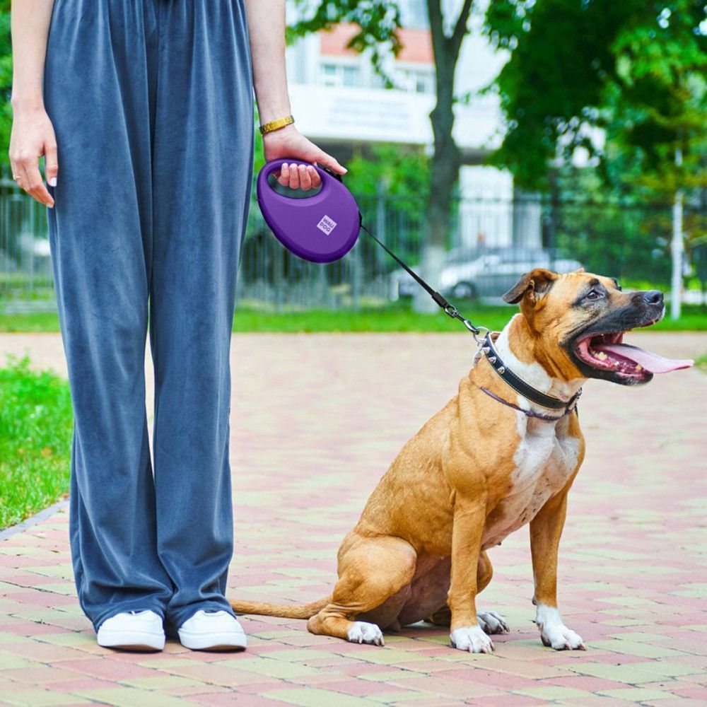 Waudog R-leash поводок-рулетка для собак L лента 5 м - фиолетовый
