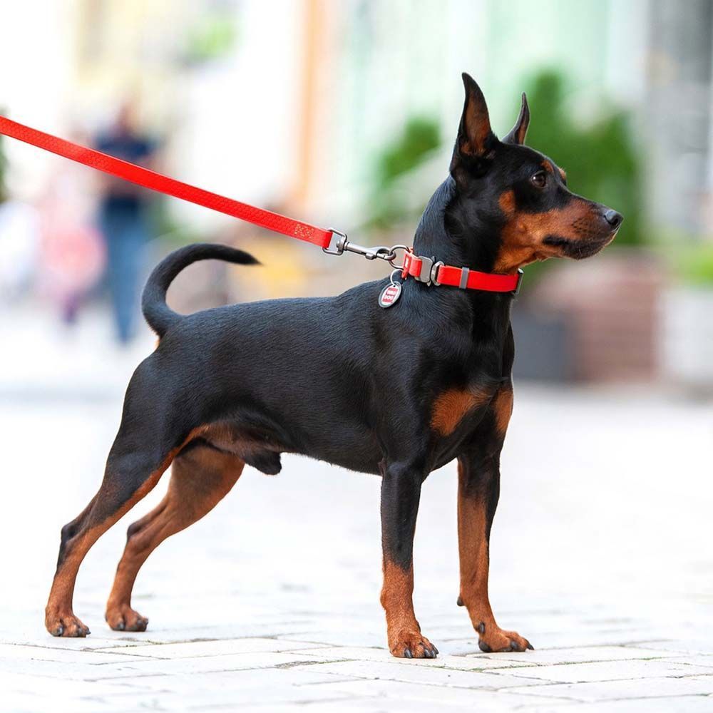 Повідець водостійкий Collar WAUDOG Waterproof 1,83 м/25 мм (червоний)