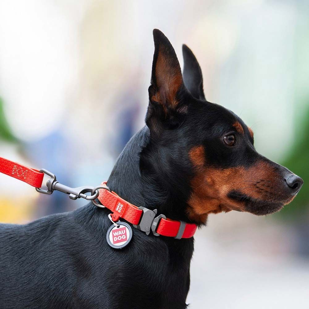 Повідець водостійкий Collar WAUDOG Waterproof 1,83 м/25 мм (червоний)
