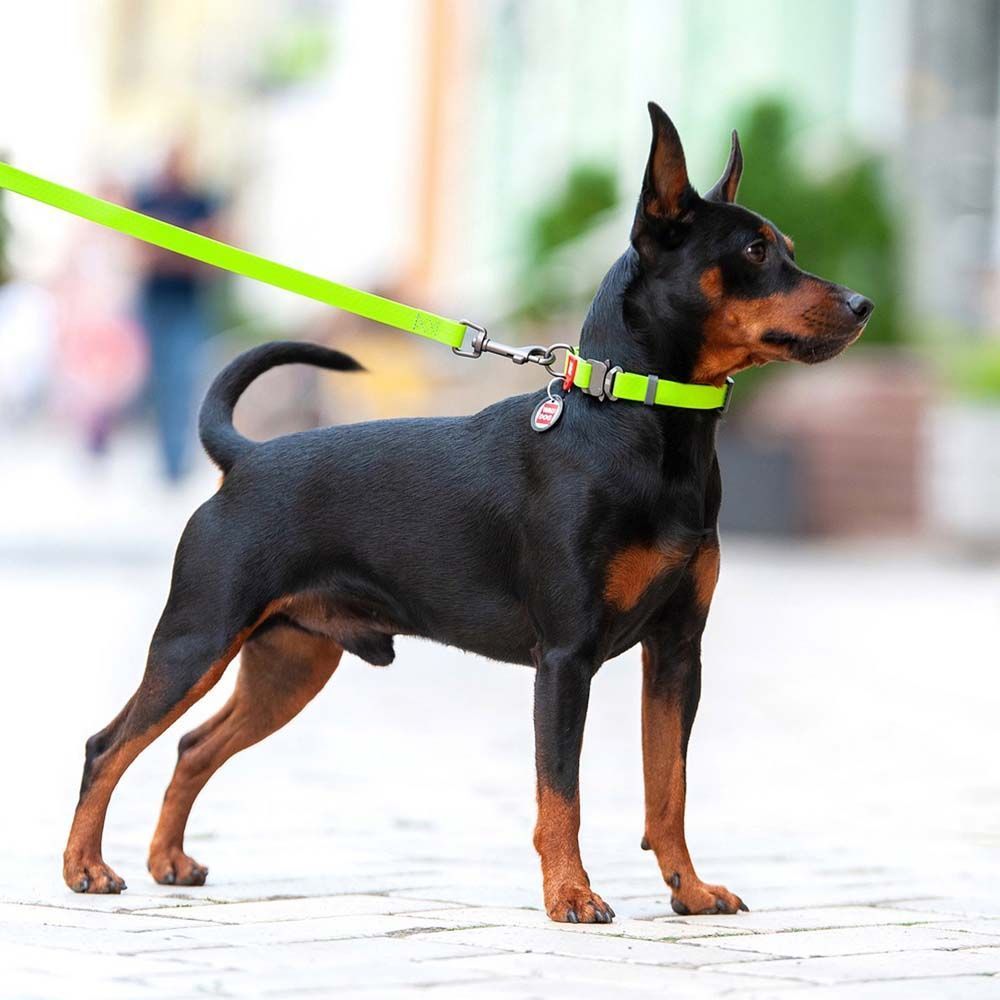 Повідець водостійкий Collar WAUDOG Waterproof 183 см/25 мм (салатовий) Повідець водостійкий Collar WAUDOG Waterproof 183 см/25 мм (салатовий)