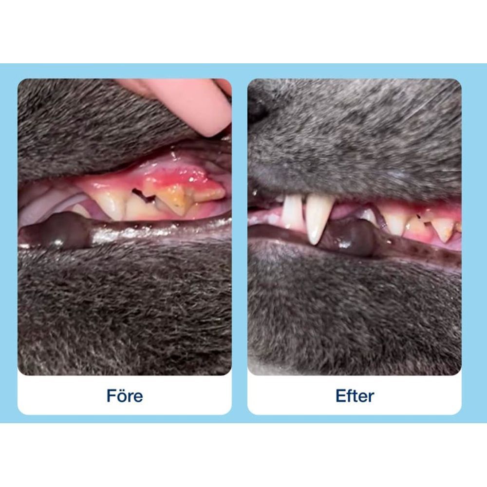 Ласощі для котів ProDen PlaqueOff Dental Bites 60 г - овочі Ласощі для котів ProDen PlaqueOff Dental Bites 60 г - овочі