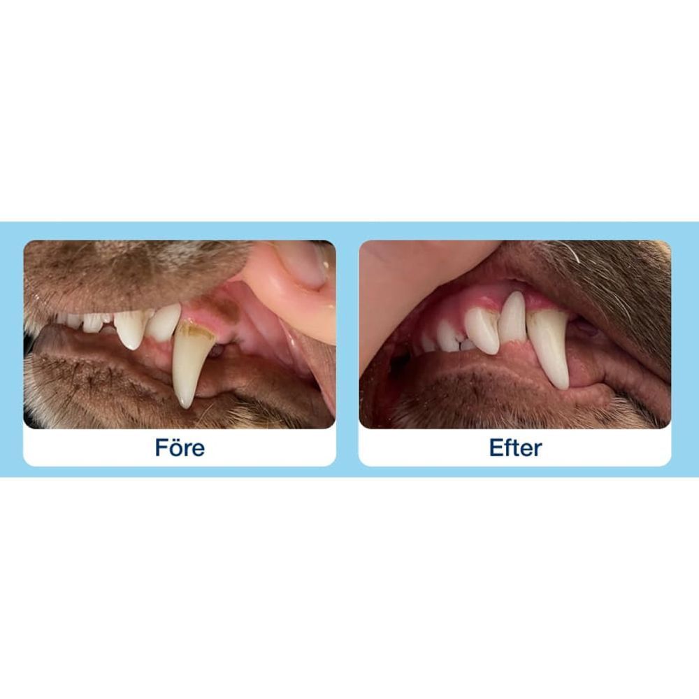 Лакомства для собак ProDen PlaqueOff Dental Bones 482 г - овощи