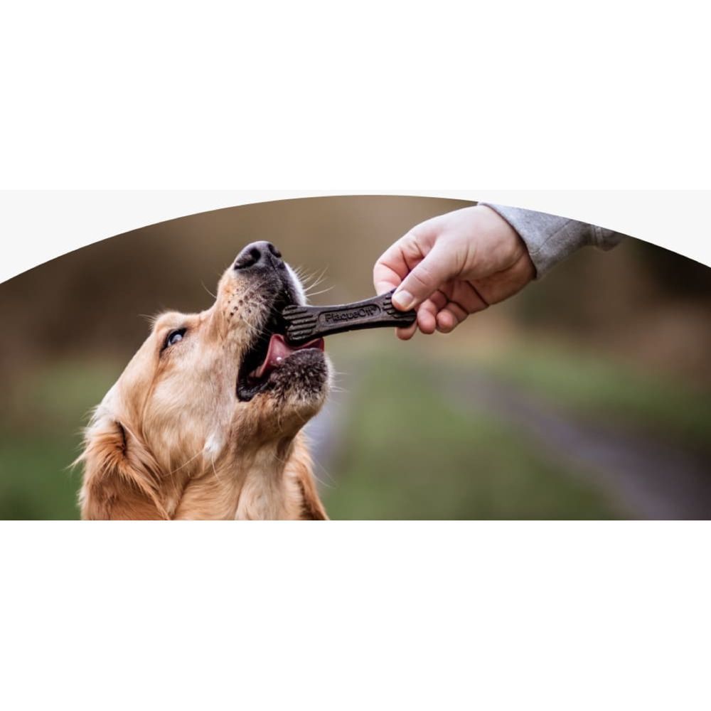 Ласощі для собак ProDen PlaqueOff Mini Dental Bones 342 г - арахісова паста та банан Ласощі для собак ProDen PlaqueOff Mini Dental Bones 342 г - арахісова паста та банан