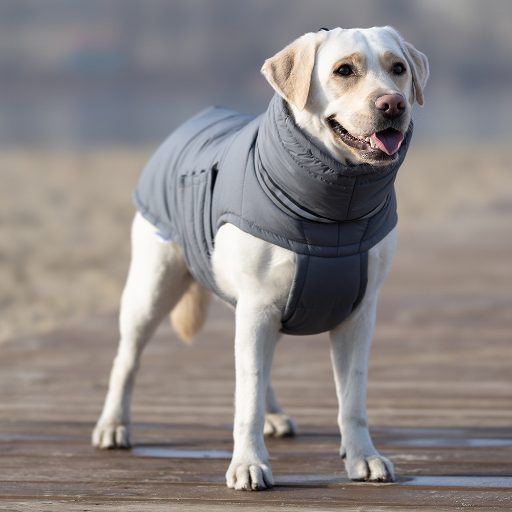 Noble Pet Bobby пуховик для собак 4XL сірий